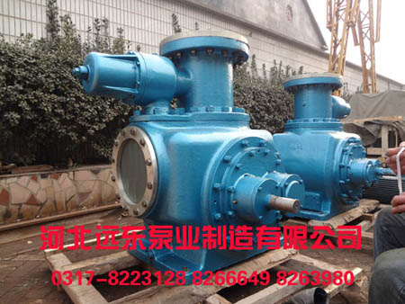 雙螺桿泵